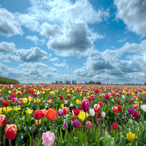 永恒的枷锁那就斩断它