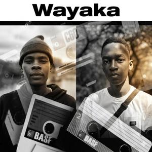 Wayaka