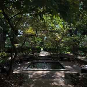 garden green