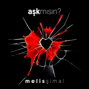 aşk mısın ?