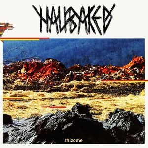 Tu fais l'amour comme on fait des chaussures