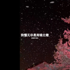 我懂无非是南辕北辙 (你我再不相见)