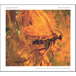 Drillbit Skiploop (Peebles)