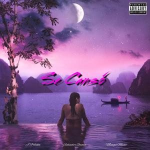 Se Cansó (feat. J Peluka & Mangel Music) (REMIX)