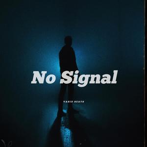 No Signal