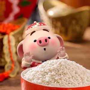 子不语•罗刹鸟