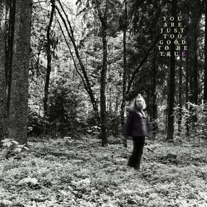 You Are Just Too Good To Be True