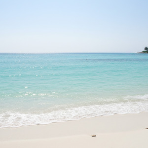 Ocean Breeze