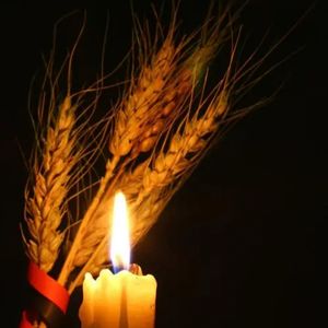 21（天堂来信）