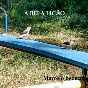A BELA LIÇÃO