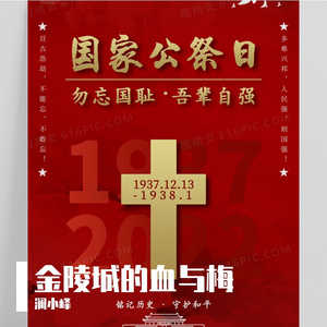 金陵城的血与梅
