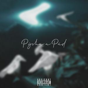 Pýcha a Pád (feat. Žanet)