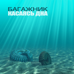 Ночные волки