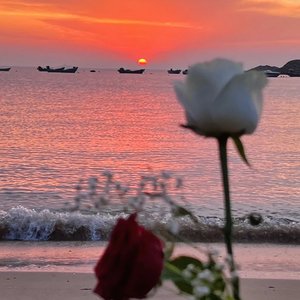 海边牵手看日出