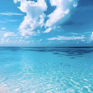 海风湿漉的晚安