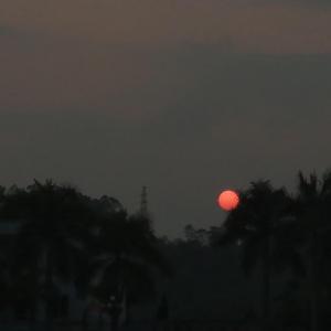 一格格（cover 卫兰）