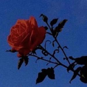 All My Demons (feat. Emo Fruits & Cxrter)