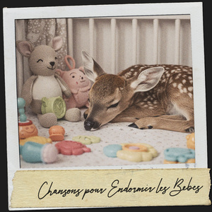 Verträumte Harmonien