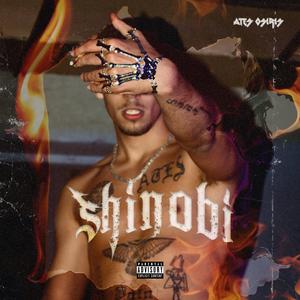 Shinobi