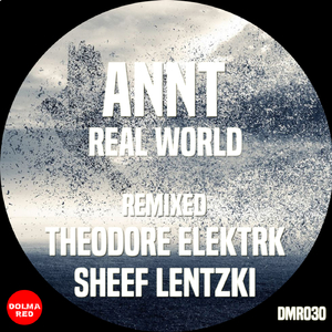 Real World (Sheef Lentzki Remix)