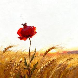 Field Breeze