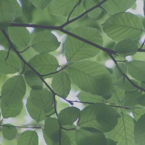 一尘不染1小时水疗印象数