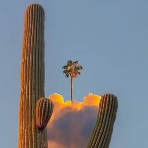 无人行走的街巷