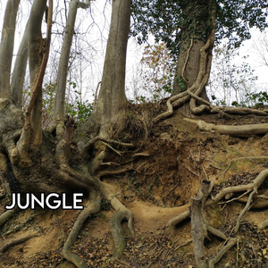 Jungle