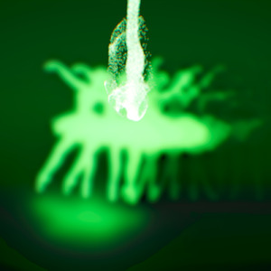 夢のアブサン (feat. 初音ミク)