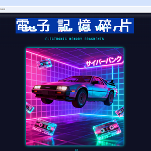 電 子 記 憶 碎 片