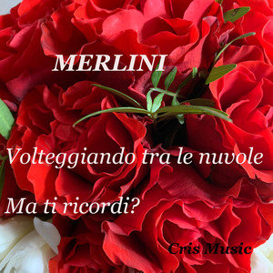 Merlini: Volteggiando tra le nuvole