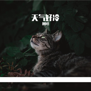 放个大招给你看 (cover 永彬Ryan.B)