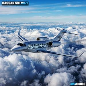 Tere Bin Rollin (feat. Hassan Sherazi)