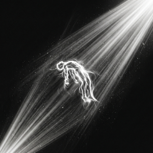 Farmando Aura