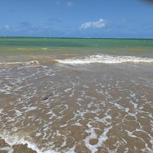 Restless Rest (feat. Nazih Borish)