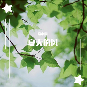 夏天的风