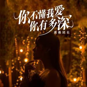 你不懂我爱你有多深（DJ版）