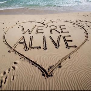 We're Alive