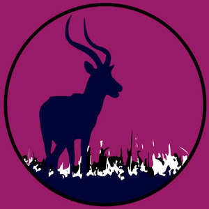 So Many Colors (Original Mix)