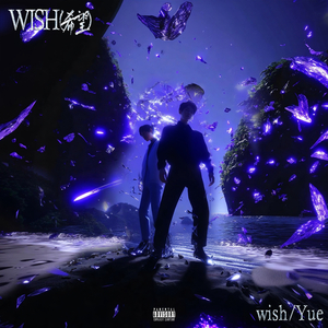 Wish（希望）