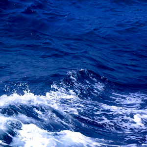 猜不透（男声版）（翻自 丁当）