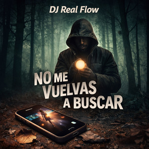 No Me Vuelvas a Buscar