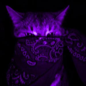 Fearless Phonk (Over slowed + reverb)