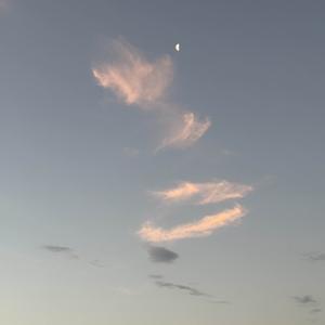 first hours of the morning