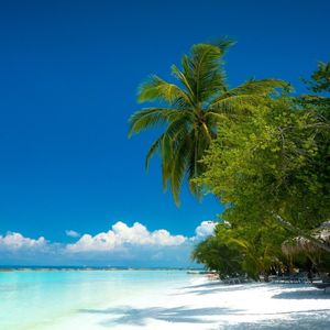 山巅的史诗乐章