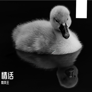 小河弯弯