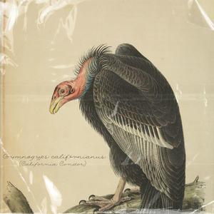 Major League (feat. Blakkat Melrose)