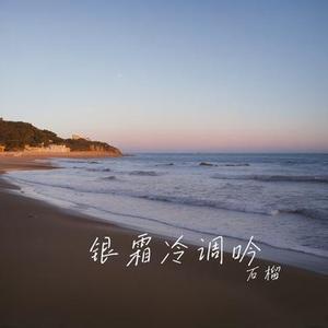 银镯素环的清韵