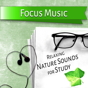 Improve Study Skills (Music for Studying)