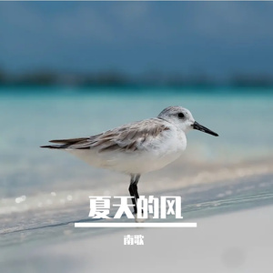 月影私语